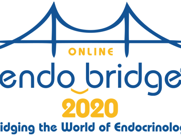 EndoBridge Online meeting